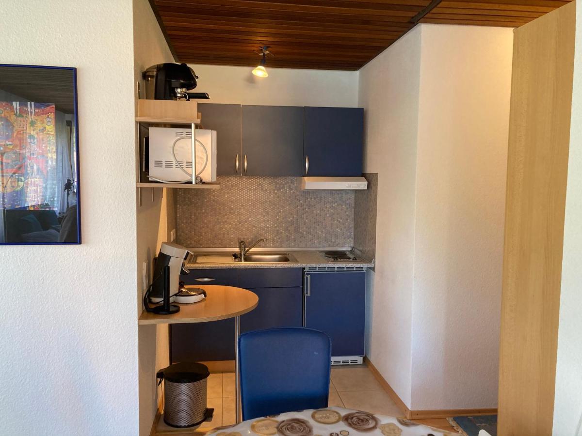 Haus Sonne Apartment Todtmoos Ngoại thất bức ảnh